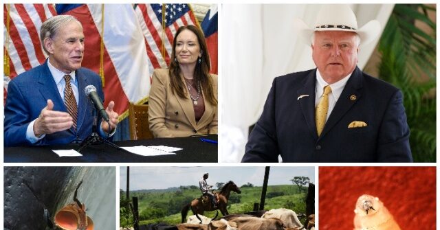 Texas Officials Brace for Screwworm Threat Advancing From Mexico Toward the Border