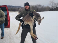 Photos: Virginia Deputies Rescue Kangaroo After It Escaped Hunting Dogs