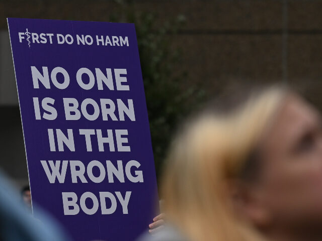 A person holds a placard with words 'No One Is Born In The Wrong Body' as hundre