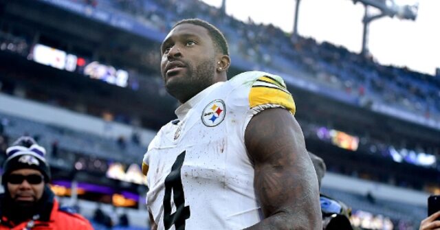 Detroit Lions Fan Files $100 Million Defamation Suit Against Steelers' DK Metcalf, Others