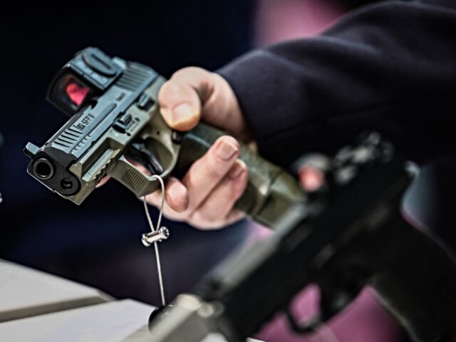 A visitor handles a semiautomatic