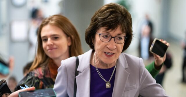 
                            GOP Sen. Collins Announces Reelection Bid as Midterm Battle Heats Up