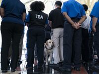 ‘Endangers Our National Security’: Democrats Blamed as TSA Programs Suspended amid Gove