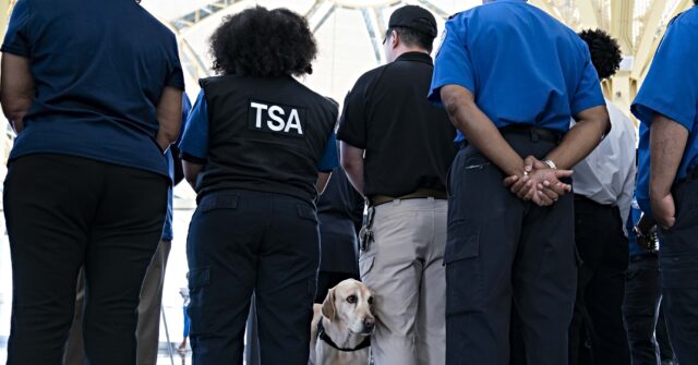 ‘Endangers Our National Security’: Democrats Blamed as TSA Programs Suspended amid Government Shutdown
