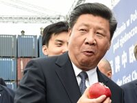 Xi Jinping’s New Year Message: China Must Embrace ‘Vigor, Strength, and Resilience̵