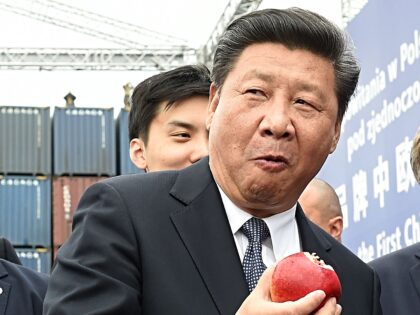 Xi Jinping’s New Year Message: China Must Embrace ‘Vigor, Strength, and Resilience̵