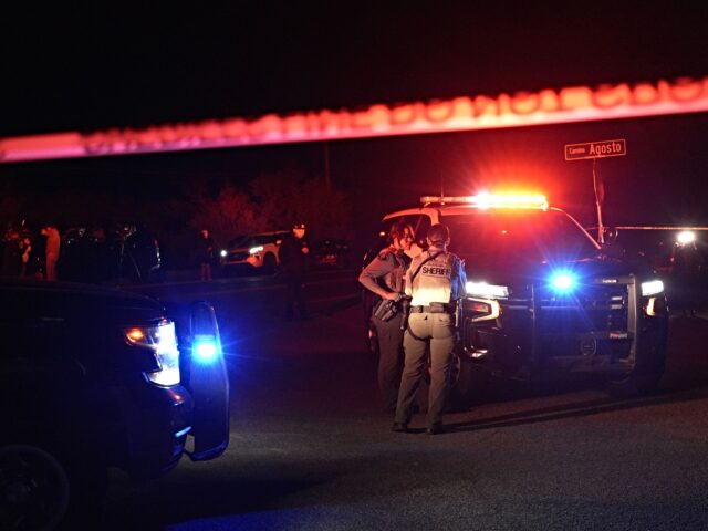 download february 11, 2026