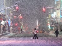 Blizzard Hits New York City and Northeast as Snowfall, Winds Intensify Forcing Millions to Stay hom