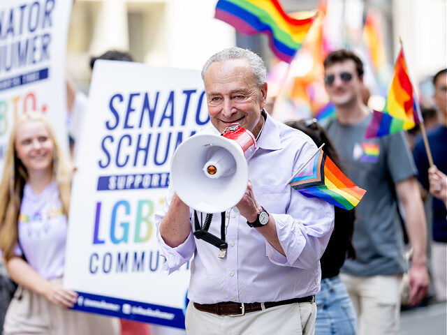 NEW YORK, NEW YORK - JUNE 25: Chuck Schumer (D-NY), Majority Leader of the United States S