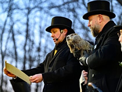 PUNXSUTAWNEY, PENNSYLVANIA - FEBRUARY 2: Handler AJ Dereume holds Punxsutawney Phil after