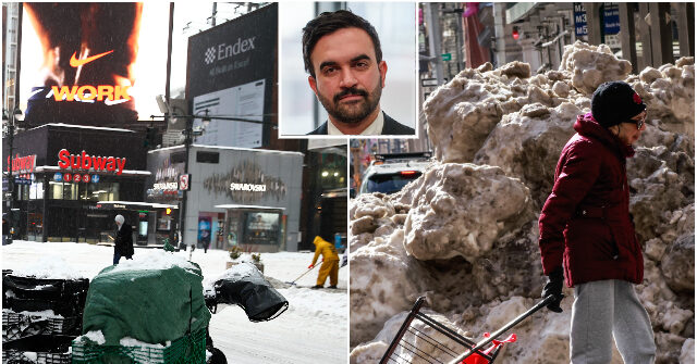 Actress Debra Messing Blasts Mamdani’s Winter Storm Response: ‘The Streets Are a Disaster,’ Uncleared After a Week - Breitbart by Paul Bois