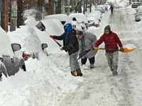 NYC Democrats Require ID to Shovel Snow But Oppose It for Voting
