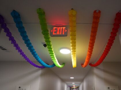 Leftist DEI Index Corporate Participation Drops by Two-Thirds