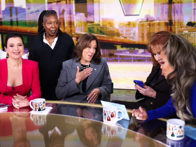 US Vice President and Democratic presidential nominee Kamala Harris is pictured in studio