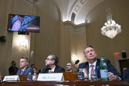 Among those testifying were the heads of the Department of Homeland Security (DHS) and Imm