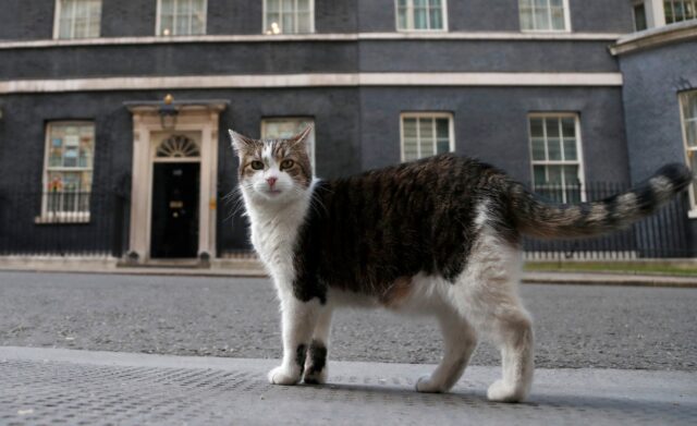 Britain Larry The Cat The Associated Press