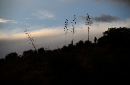 The Associated Press