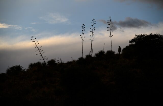 The Associated Press