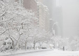 Blizzards blast Northeast with snow, hurricane force winds