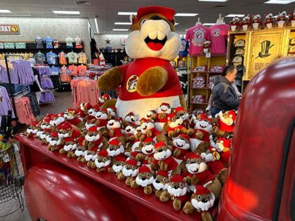 Title: BIZ Buc-ee's Image ID: 24096185247469 Article: A display of Buc-ee's beaver dolls f