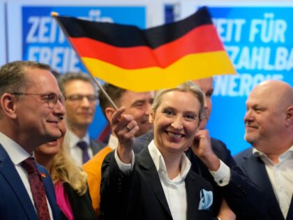 AfD Wins Youth Vote, Secures Best Ever Result in West German State Election