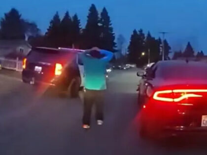 Sheriff: Washington Felon Arrested for 98th Time After High-Speed Chase