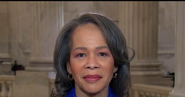 Image for 'We're Fighting' on DHS Shutdown That's GOP's Fault