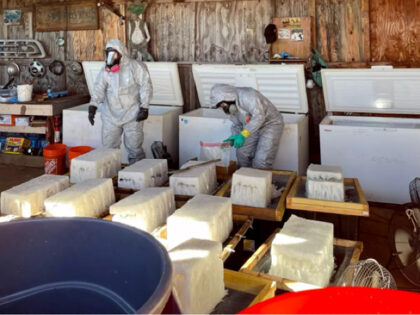 Feds Charge Two Biden-Era ‘Catch & Release’ Migrants with California Meth Lab Oper