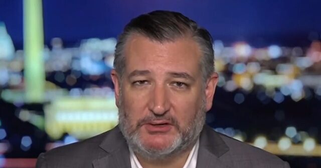 Ted Cruz Predicts Mamdani Will Be the Next Democrat Senator from New York