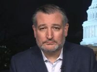 Cruz: ‘Democrats Line Up to Effectively Defend the Ayatollah’