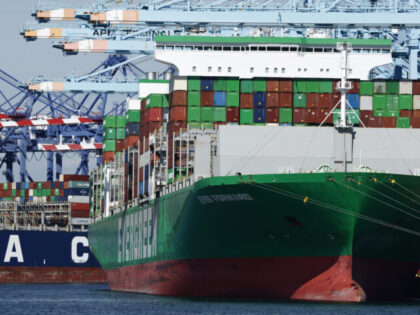 LOS ANGELES, CALIFORNIA - FEBRUARY 20: Shipping cranes stand above container ships loaded