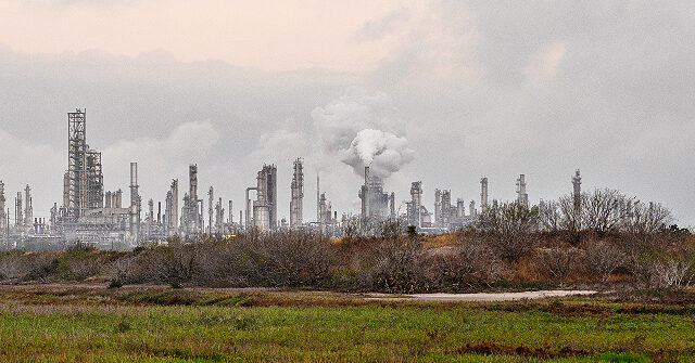 Image for article PETA Offers Solution to Corpus Christis Devastating Water Crisis, Go Vegan!