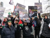 Hundreds Rally in London for Iranian Regime at Banned Pro-Palestinian Protest