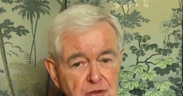 Gingrich: If Iranians Had Their Way, Threat Would Be Nuclear Weapons Taking Out a U.S. City