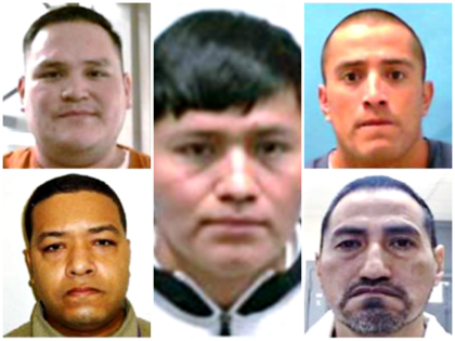 Immigration and Customs Enforcement