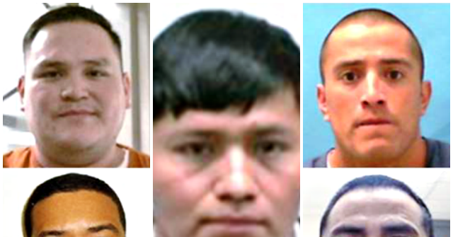 “ICE Nabs Convicted Criminal Illegal Aliens Preying on Children”