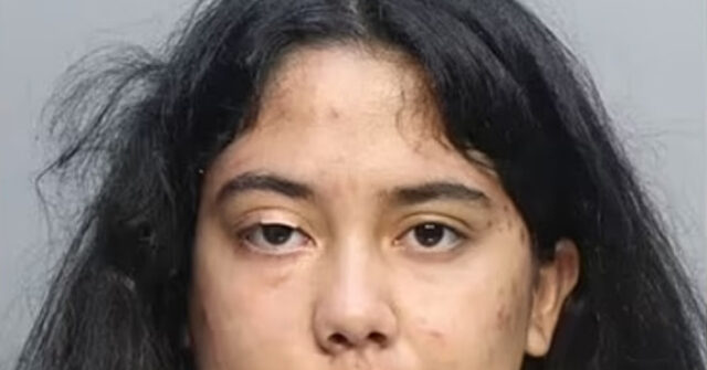 Florida Woman Sentenced to Probation for Trying to Hire Hitman to Kill Her Toddler