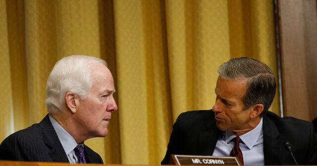 Thune’s Right Hand Man Undercuts Cornyn Consolidation with Broadside Against Hundreds of Thousands of Texans