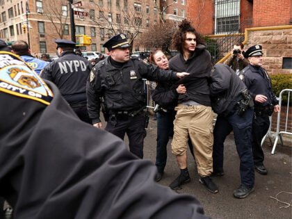 A left-wing activist is detained by police after throwing a homemade explosive device towa