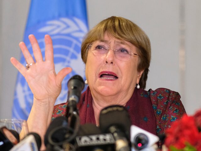 Michelle Bachelet in touch download march 25, 2026