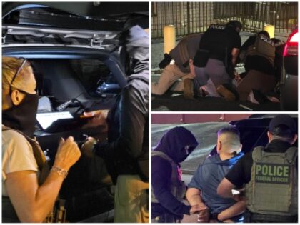 ICE Houston Arrests 414 Illegal Alien Child Predators in Trump’s First Year Back — Nea