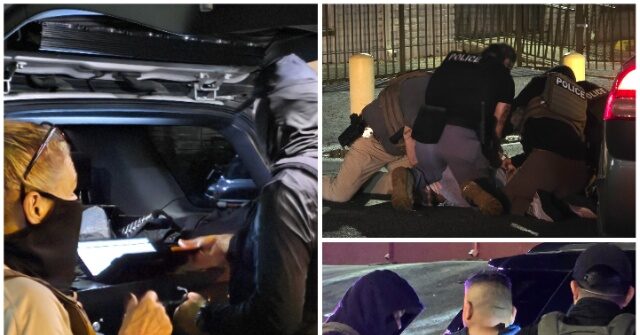 ICE Houston Arrests 414 Illegal Alien Child Predators in Trump&rsquo;s First Year Back &mdash; Nearly Double Biden&rsquo;s Final‑Year Total