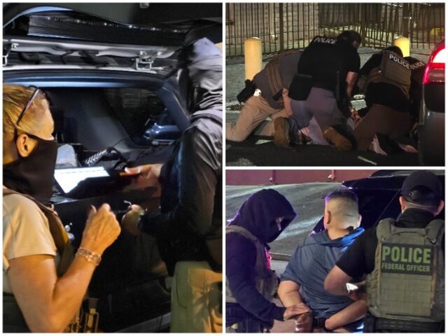 ICE Houston Arrests 414 Illegal Alien Child Predators in Trump’s First Year Back — Nea