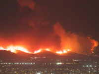 Trump Admin Looking into Insurance Companies’ Handling of LA Fire Claims
