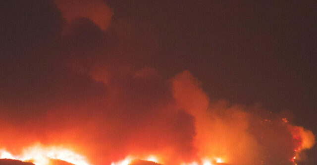 Trump Admin Looking into Insurance Companies' Handling of LA Fire Claims