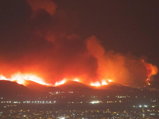 Pacific Palisades Fire