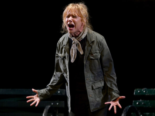 Rosanna Arquette Slams Quentin Tarantino for Using the ‘N-Word’ in Films: ‘ItR