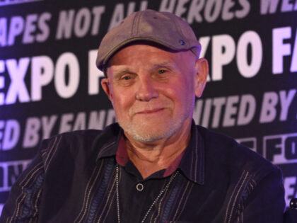 ROSEMONT, ILLINOIS - AUGUST 15: Steve Downes speaks on stage during FanExpo Chicago on Aug