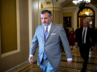 Ted Cruz Suggests Splitting ICE, CBP Funding from DHS Funding