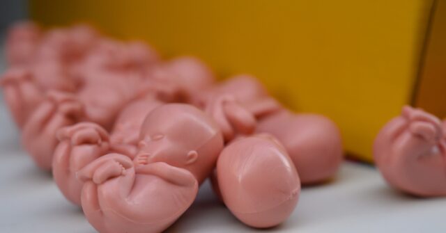 Spain Equality Ministry Sued for ‘Appropriating’ Jurist’s Abortion Reform Draft